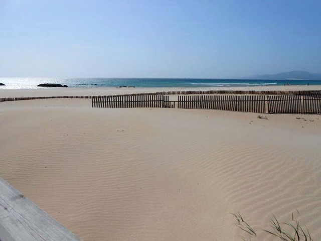 playa de tarifa